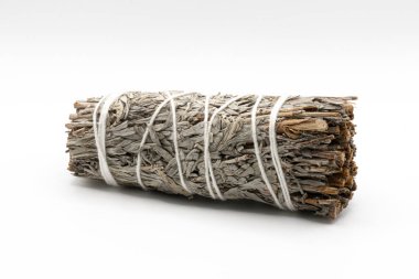 Beyaz arkaplanda tek bir adaçayı lekesi resmi. 