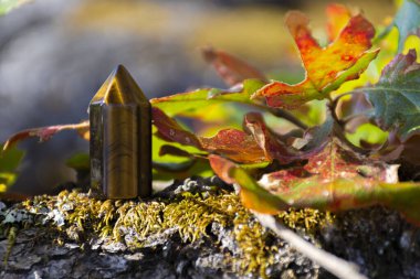 An image of a small tigers eye crystal tower on a moss covered tree branch.  clipart