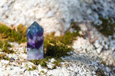 A close up image of a mini fluorite crystal tower on a moss covered granite stone. clipart