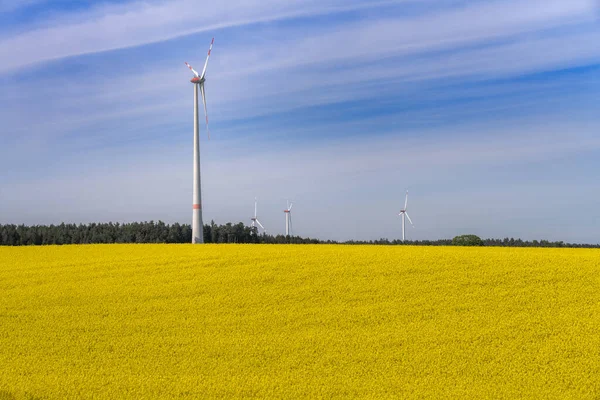 利用风能创造替代能源 — 图库照片