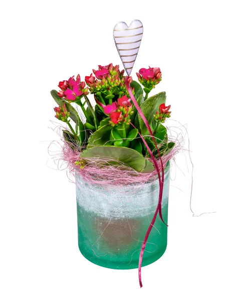 Isoliertes Muttertagsgeschenk Mit Flammenden Katy Blumen Und Einem Herz — Stockfoto
