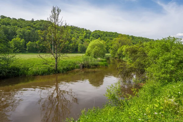 アルトミュエル川の自然景観 ドイツ バイエルン州 — ストック写真