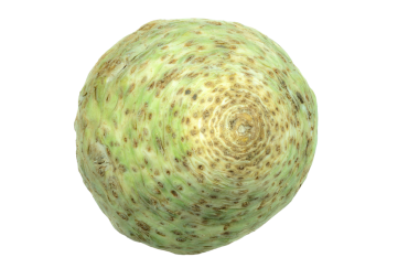 İzole edilmiş kereviz kökü sebzesi.