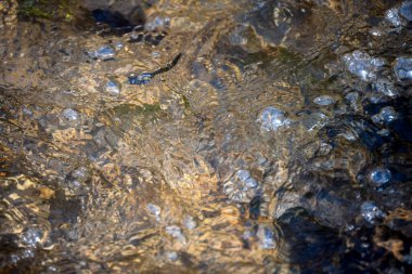 Kabarcıklı akan suyun soyut arkaplanı