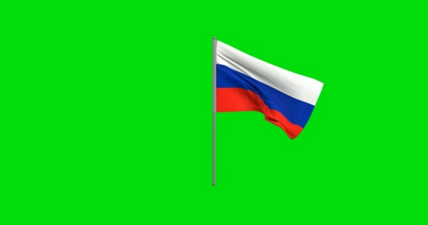 Rusya Bayrağı Dalgalanıyor Modelleme — Stok video