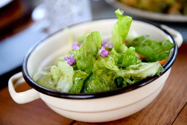 Fresh Salad Bowl Royalty Free Stock Images