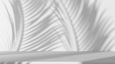 Tamamen beyaz proje taslağı, pencere ışığı ve palmiye yaprakları gölgeli beyaz duvar zeminli masa. Ürün sunumu taklit ediliyor. Boş iç tasarım kavramı