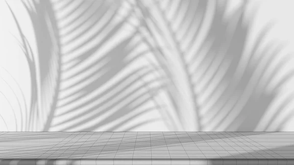 Nedokončený Návrh Projektu Stůl Bílým Štukovým Pozadím Světlem Palmovými Listy — Stock fotografie