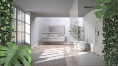 Orman çerçevesi, biyofilik kavram fikri iç tasarım. Minimum banyodaki tropikal yapraklar duşlu. Cerpegia woodii ve Monstera Deliciosa bitkileri