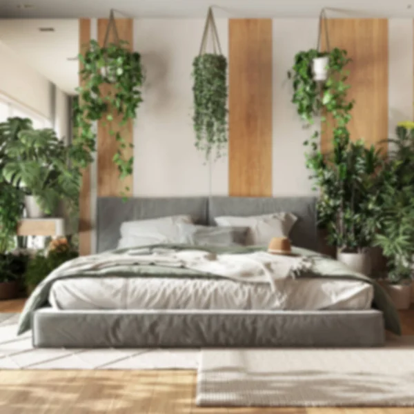 模糊的背景 家庭花园 最小的卧室 主人的床 花束地板和许多家庭植物 城市丛林室内设计 生物癖概念 — 图库照片