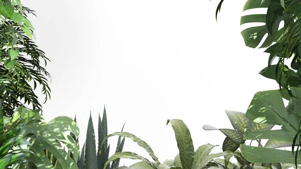 Джунгли Биофильная Концепция Тропические Листья Изолированы Белом Фоне Копировальным Пространством — стоковое фото