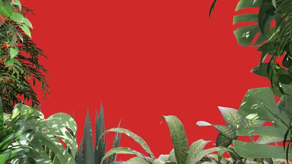 Джунгли Биофильная Концепция Тропические Листья Изолированы Красном Фоне Копировальным Пространством — стоковое фото