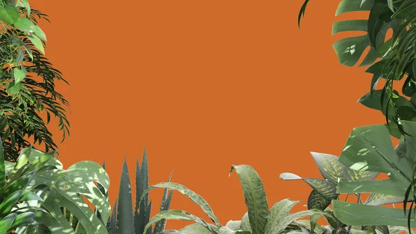 ジャングルのフレーム バイオフィクスの概念のアイデア コピースペースのあるオレンジ色の背景に隔離された熱帯の葉 — ストック写真