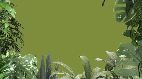 Dschungel Rahmen Biophile Konzeptidee Tropische Blätter Isoliert Auf Grünem Hintergrund — Stockfoto