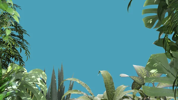 Jungle Frame Biophilic Concept Idea Tropical Leaves Isolated Blue Colored — Stock Photo, Image