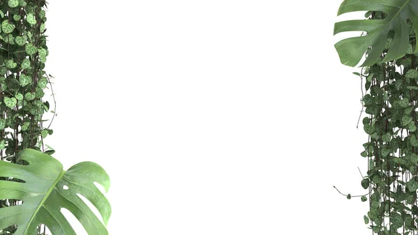 Джунгли Биофильная Концепция Тропические Листья Изолированы Белом Фоне Копировальным Пространством — стоковое фото