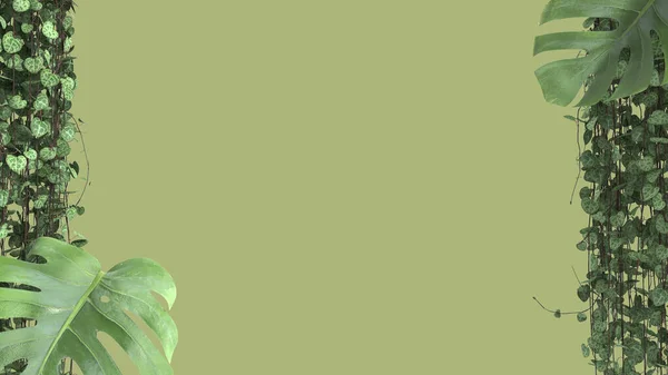 Джунглі Рамка Біофільна Концепція Тропічні Листя Ізольовані Зеленому Тлі Копіювальним — стокове фото