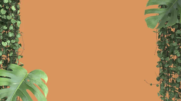 Jungle frame, biophilic concept idea. Tropical leaves isolated on orange background with copy space. Cerpegia woodii and monstera deliciosa plants