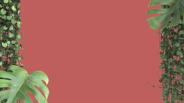 Джунглі Рамка Біофільна Концепція Тропічні Листя Ізольовані Червоному Тлі Копіювальним — стокове фото