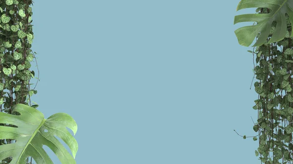 Джунглі Рамка Біофільна Концепція Тропічні Листя Ізольовані Синьому Фоні Копіювальним — стокове фото