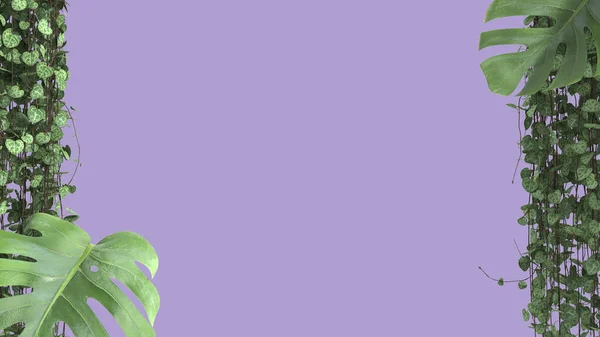 Jungle Frame Biophilic Concept Idea Tropical Leaves Isolated Purple Background — Stock Photo, Image