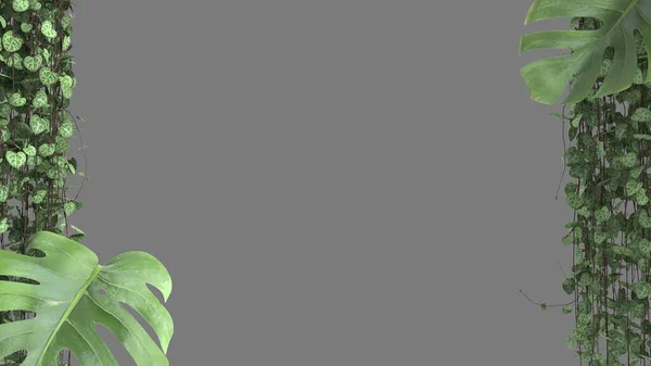 Джунгли Биофильная Концепция Тропические Листья Выделены Сером Фоне Копировальным Пространством — стоковое фото