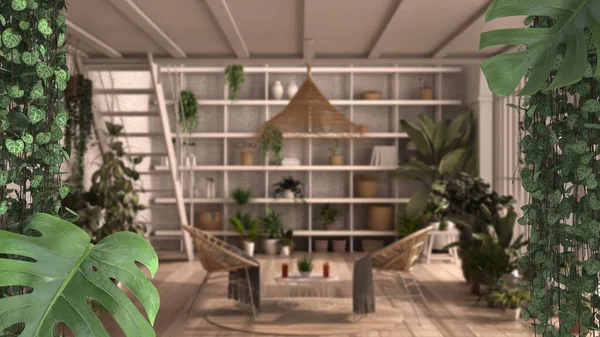 灌丛框架 生物情趣理念室内设计 热带树叶盖在现代花园客厅上 菊花和苦瓜属植物 — 图库照片