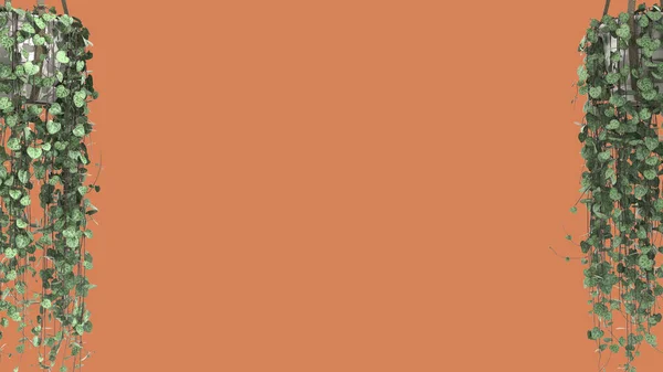 Джунглі Рамка Біофільна Концепція Тропічні Листя Ізольовані Помаранчевому Тлі Копіювальним — стокове фото