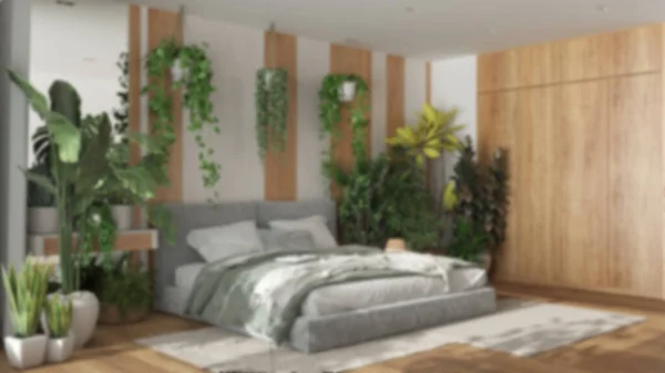 模糊的背景 家庭花园 最小的卧室 天鹅绒双人床 花束地板和许多家庭植物 城市丛林室内设计 生物癖概念 — 图库照片