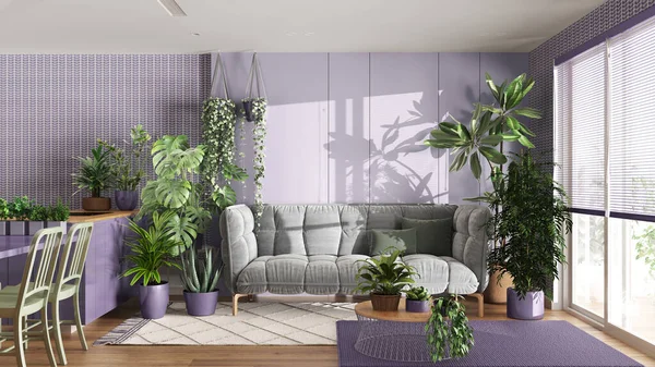 Urban jungle, kitchen and living room in white and purple tones. Dining table, parquet floor and houseplants. Home garden interior design. Love for plants concept