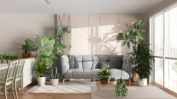 Blurred background, urban jungle, kitchen and living room. Dining table, parquet floor and houseplants. Home garden interior design. Love for plants concept