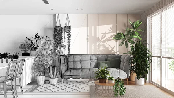 建筑师室内设计理念 手绘草稿未完成的工程 成为现实 城市丛林 厨房和客厅 家庭花园风格 爱恋植物的概念 — 图库照片