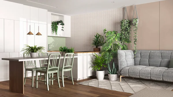 Urban jungle, kitchen and living room in white and wooden tones. Dining table, sofa and houseplants. Home garden interior design. Biophilia concept