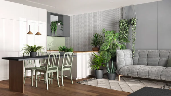 Urban jungle, kitchen and living room in white and gray tones. Dining table, sofa and houseplants. Home garden interior design. Biophilia concept