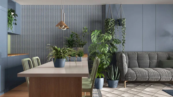 Urban jungle, kitchen with island and living room in white and blue tones. Sofa , carpet and houseplants. Home garden interior design. Biophilia concept