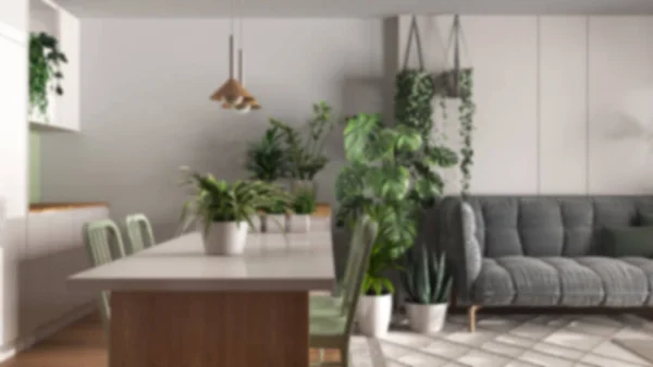 Blurred background, urban jungle, kitchen with island and living room. Sofa , carpet and houseplants. Home garden interior design. Biophilia concept