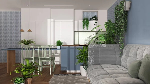 Urban jungle, living room with sofa and dining room in white and blue tones. Kitchen, carpet and houseplants. Home garden interior design. Biophilia concept