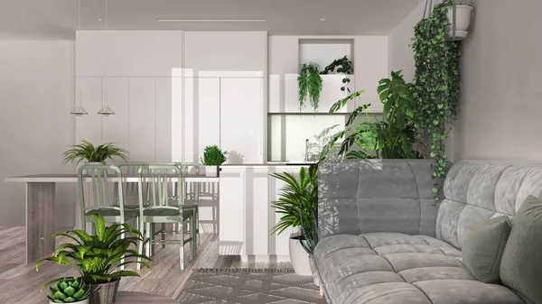 Urban jungle, living room with sofa and dining room in white and bleached tones. Kitchen, carpet and houseplants. Home garden interior design. Biophilia concept
