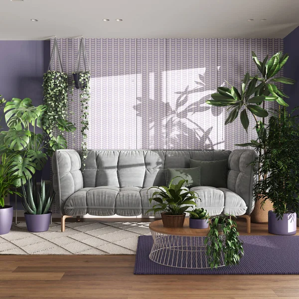 Urban jungle, living room with velvet sofa in white and purple tones. Carpets with table, parquet floor and houseplants. Home garden interior design. Love for plants concept