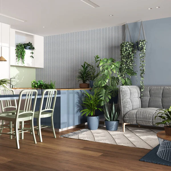 Home garden, dining and living room in white and blue tones. Island with chairs, parquet and mani houseplants. Urban jungle interior design. Biophilia concept