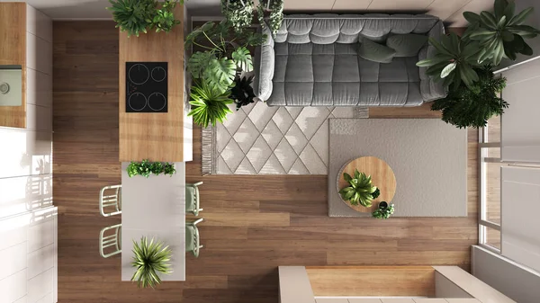 Urban jungle, kitchen and living room in white and wooden tones. Dining table and houseplants. Home garden interior design. Top view, plan, above. Love for plants concept