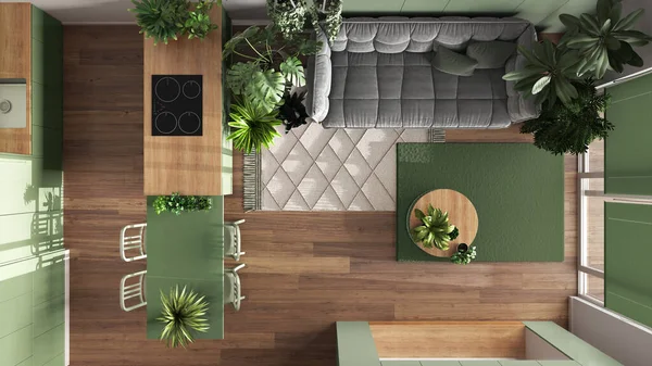 Urban jungle, kitchen and living room in white and green tones. Dining table and houseplants. Home garden interior design. Top view, plan, above. Love for plants concept