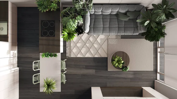Urban jungle, kitchen and living room in white and dark tones. Dining table and houseplants. Home garden interior design. Top view, plan, above. Love for plants concept