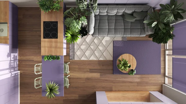 Urban jungle, kitchen and living room in white and purple tones. Dining table and houseplants. Home garden interior design. Top view, plan, above. Love for plants concept