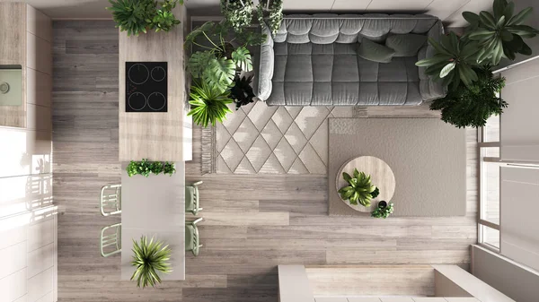 Urban jungle, kitchen and living room in white and bleached tones. Dining table and houseplants. Home garden interior design. Top view, plan, above. Love for plants concept