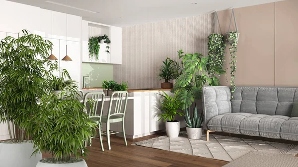 Zen interior with potted bamboo plant, natural interior design concept, living room and kitchen with island and chairs, sofa carpet, urban jungle, interior design idea