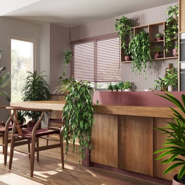 Beyaz ve kırmızı tonlarda, adalı, sandalyeli, pencereli ve aletli modern ahşap mutfak. Bitki konseptine olan sevgi, birçok ev bitkisi. Kentsel orman iç tasarımı