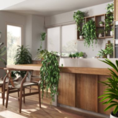 Arka planda bulanıklık, ahşap mutfak, sandalyeler, pencereler ve aletler. Bitki konseptine olan sevgi, birçok ev bitkisi. Kentsel orman iç tasarımı
