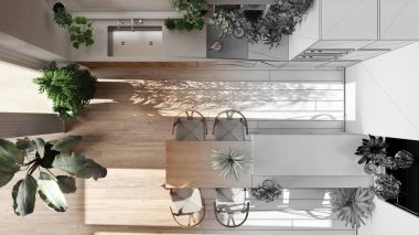 Mimari iç mimar konsepti: elle çizilmiş tamamlanmamış proje gerçek, kentsel orman tarzı, ev bitkileriyle mutfak. Biyofilik konsept. Üst görünüm, plan, yukarıda