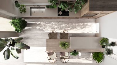 Kentsel orman iç tasarımı, beyazlatılmış ahşap mutfak ve ev bitkileriyle bej renkler. Sandalyeleri ve aletleri olan bir ada. Biyofilik kavram fikri. Üst görünüm, plan, yukarıda